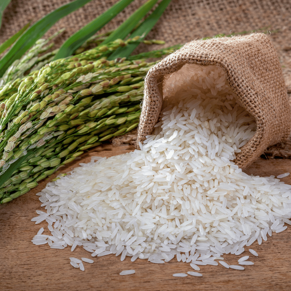 Rice Sona Massurie