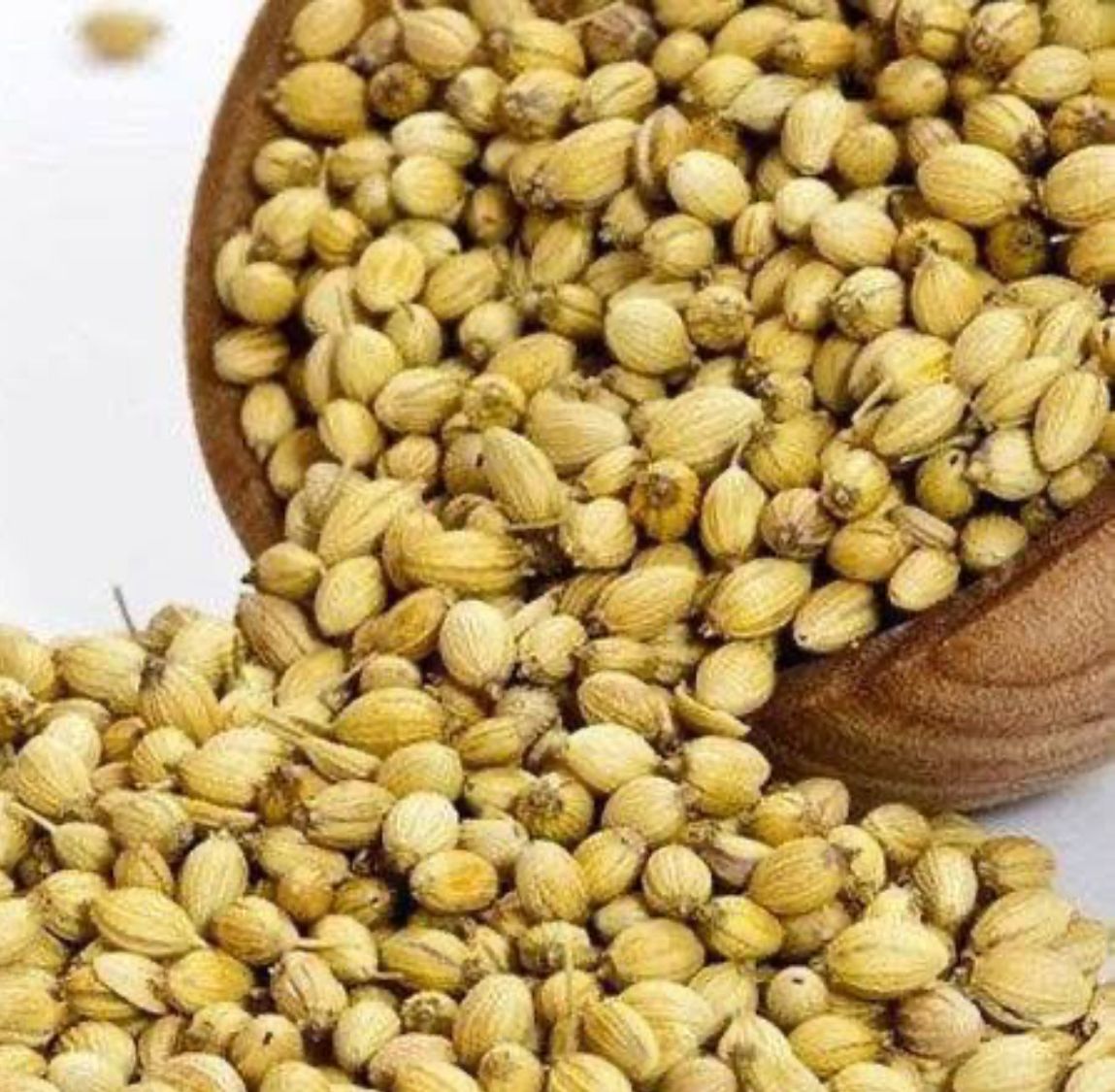Dhaniya Seeds